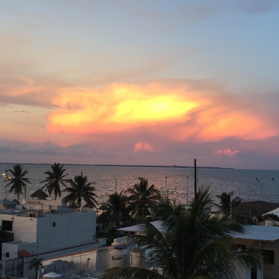The Mermaid Hostel Beach (Adults Only) Cancun Dış mekan fotoğraf